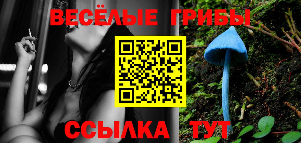 Галлюциногенные грибы MAGIC MUSHROOMS Тимашёвск